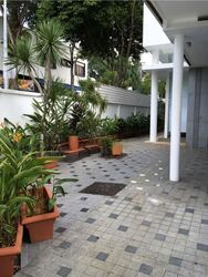 Shamrock Park (D10), Terrace #574052541